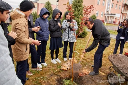 Выпускники школы продолжили традицию – посадили деревья в Аллее выпускников